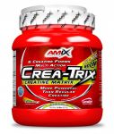 AMIX Crea-Trix Creatine Matrix 824g - ACTIVE ZONE